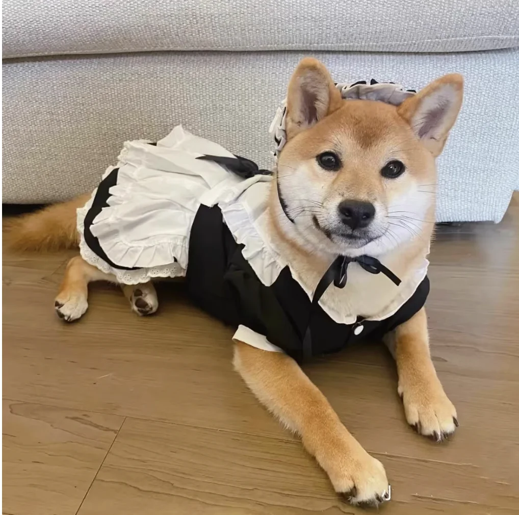 Одежда для домашних животных аксессуары большая собака горничная головной убор