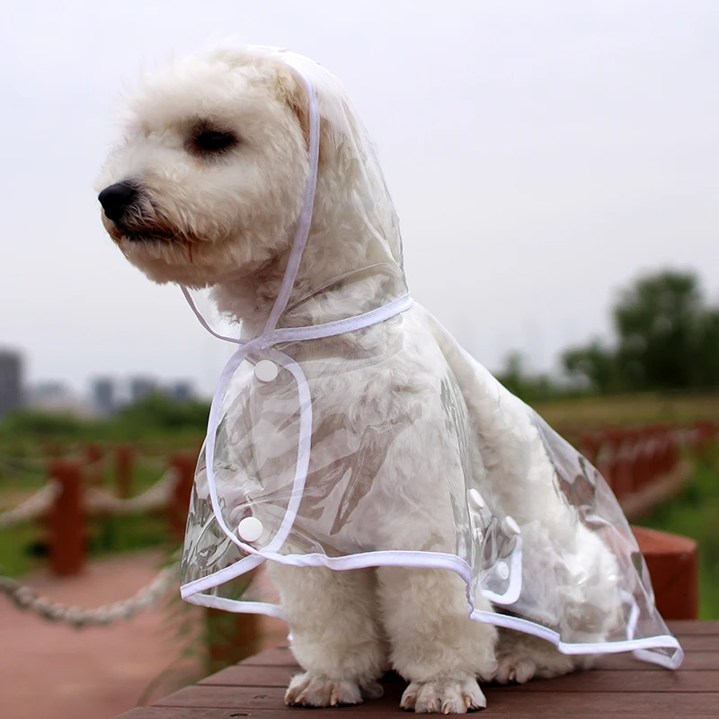 

Дождевик для маленьких и средних собак, прозрачный непромокаемый плащ для щенков, Йорков, чихуахуа, одежда для улицы