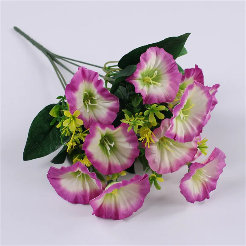 Петуния Яблоневый Цвет Купить