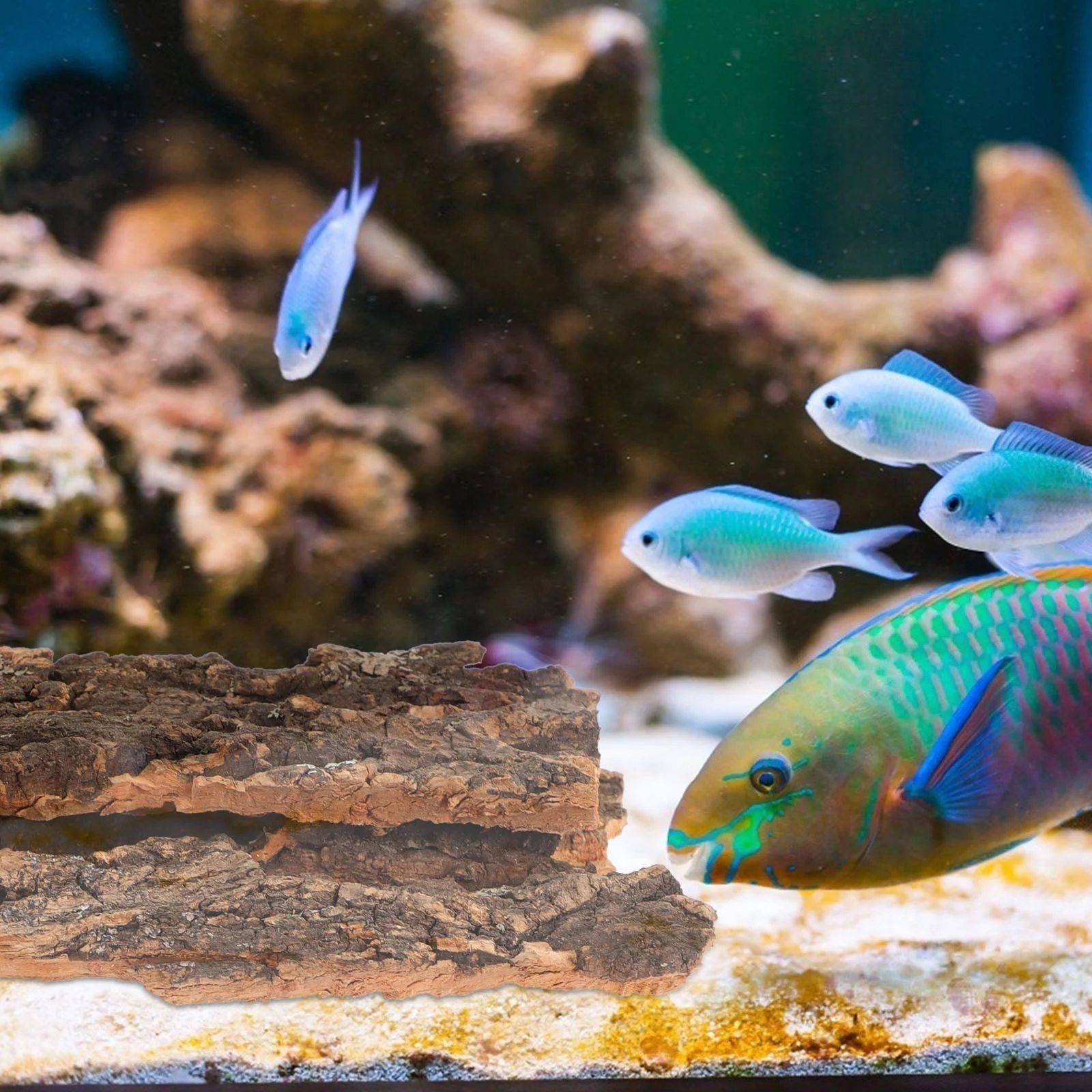 

Fish Aquarium Decoration Bark Terrarium Decor Pet Cage Landscape Lizard Platform Ornament Climb Hiding Supply Fish Tank Supplies