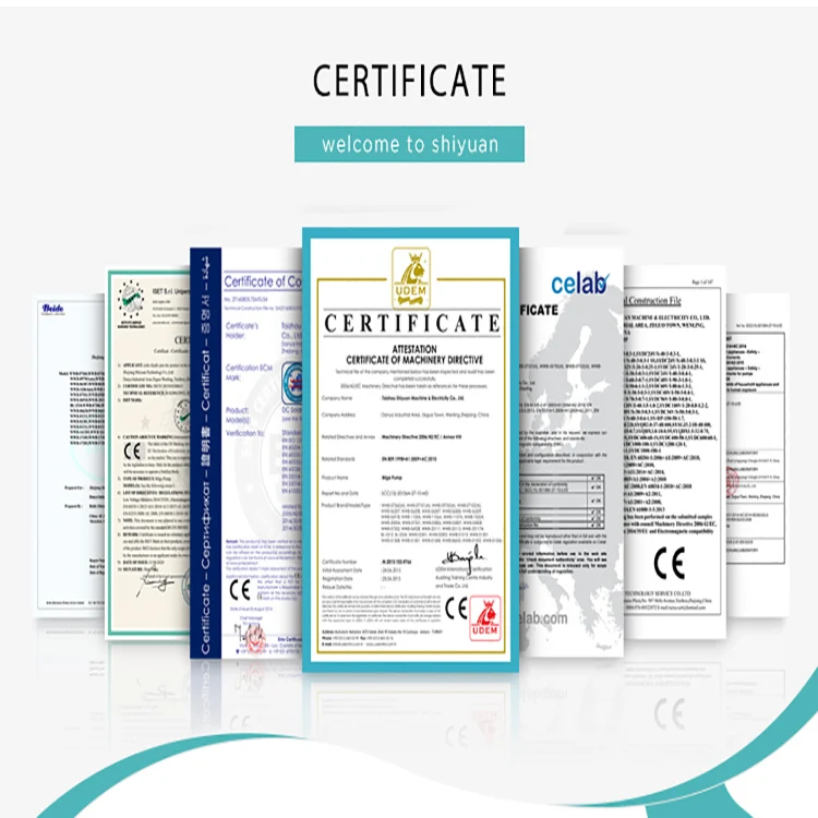 Производитель Shiyuan 220 В 100 Вт 50 Гц автоматические морские насосы для яхт