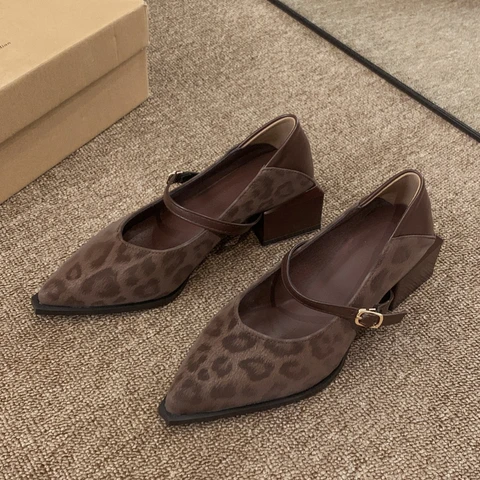 Винтажные женские туфли Мэри Джейн с острым носком, лаконичные туфли с неглубокой пряжкой, весенние женские элегантные модельные туфли с леопардовым принтом на толстом каблуке