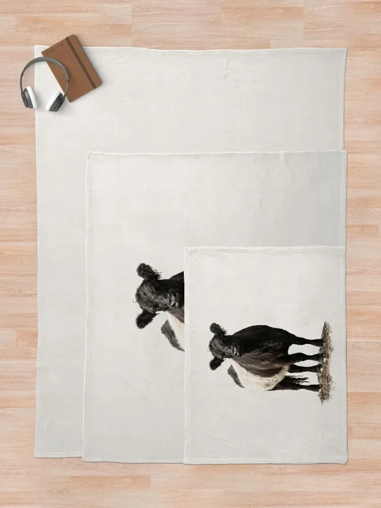 Одеяло с ремнем из коровы Galloway винтажные модные одеяла для кровати