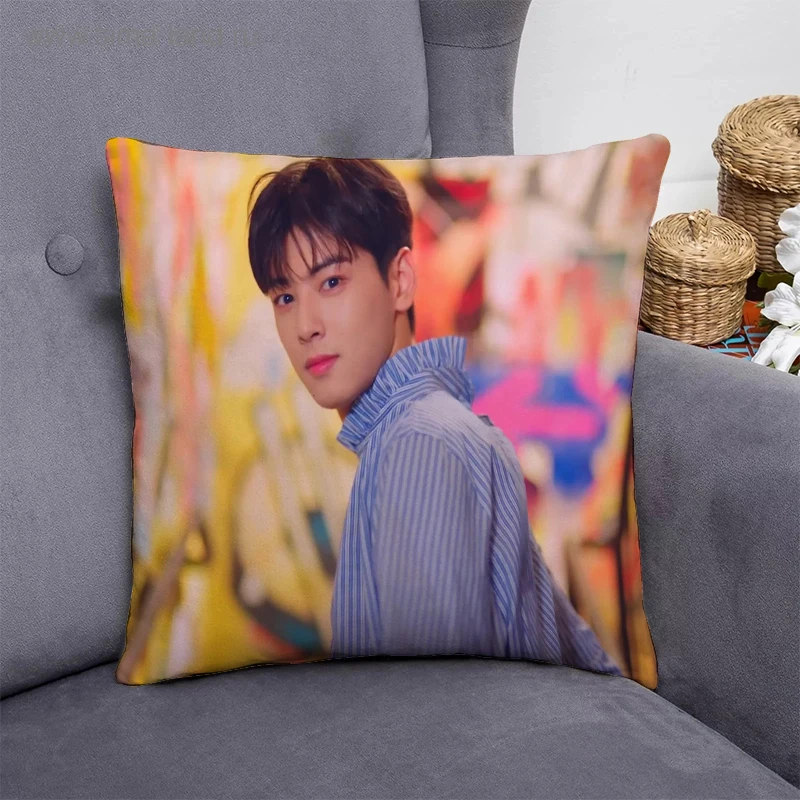 

Декоративные Чехлы для диванных подушек Cha EunWoo