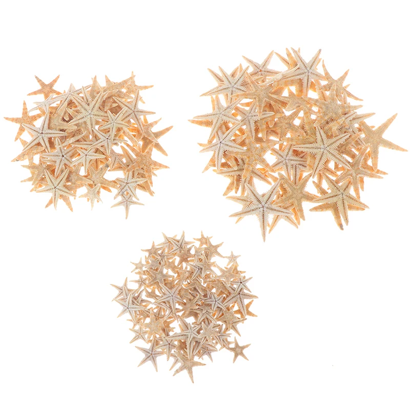 

100pcs Sea Shells Size:0.5-3cm Mini Starfish Craft Decoration Natural Sea Stars DIY Beach Cottage Wedding Decor Crafts Wedding