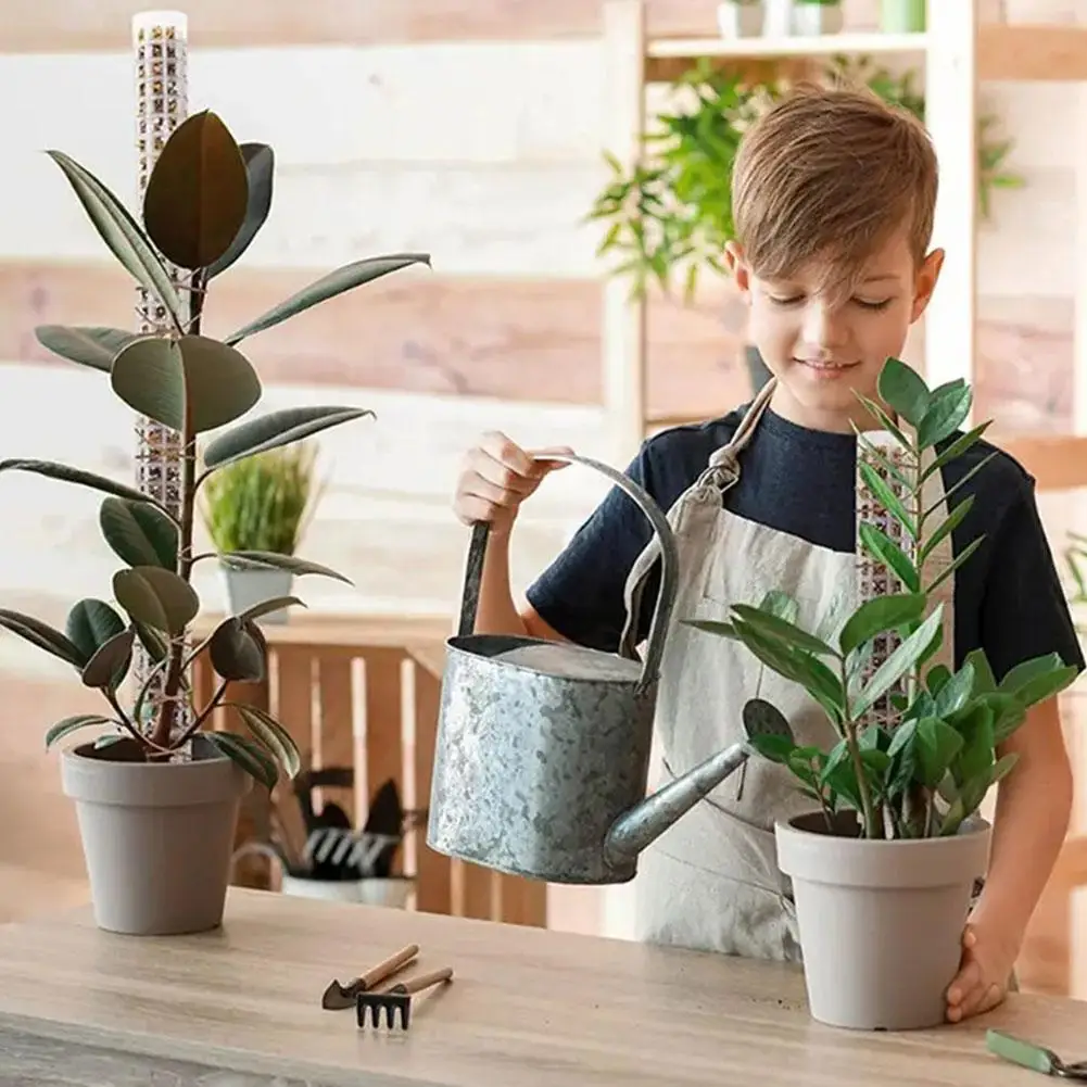 

Water Moss Climbing Column Height 25cm Moss Growth Shaping Green Supplies Pineapple Garden Support Plant Column Brown Cocon U6Q6