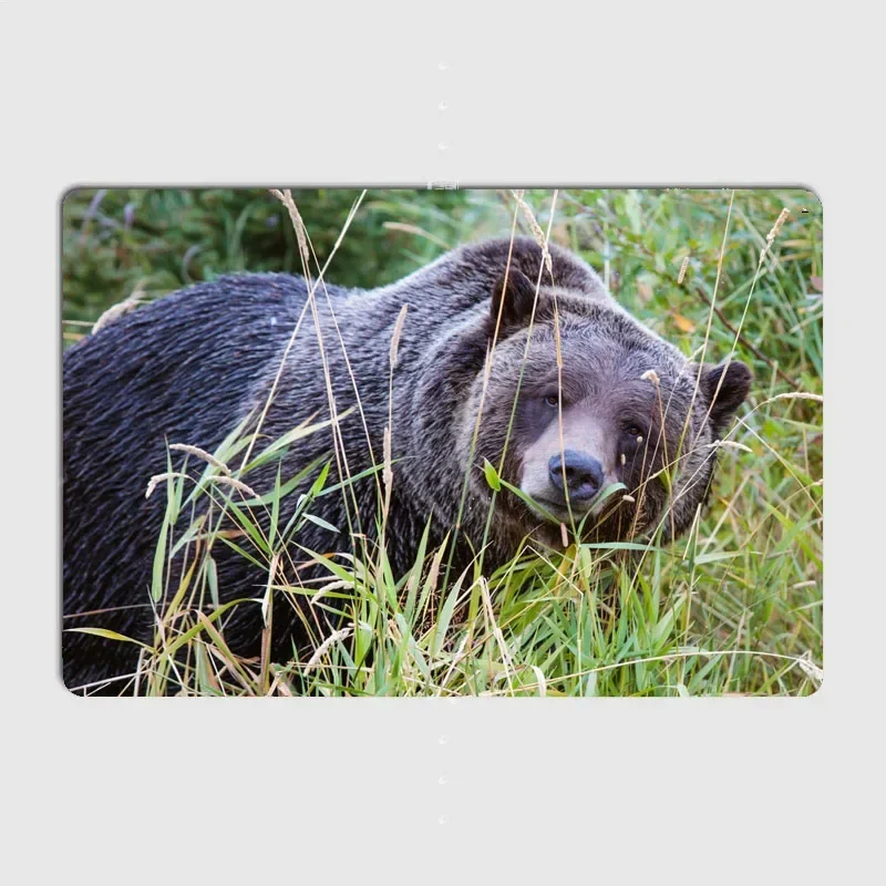 Винтажные металлические таблички в деревенском стиле с различными