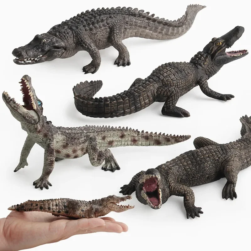 Имитация животного новая модель реплика Lacoste Sarcosuchus аллигатор Sinensis ручные