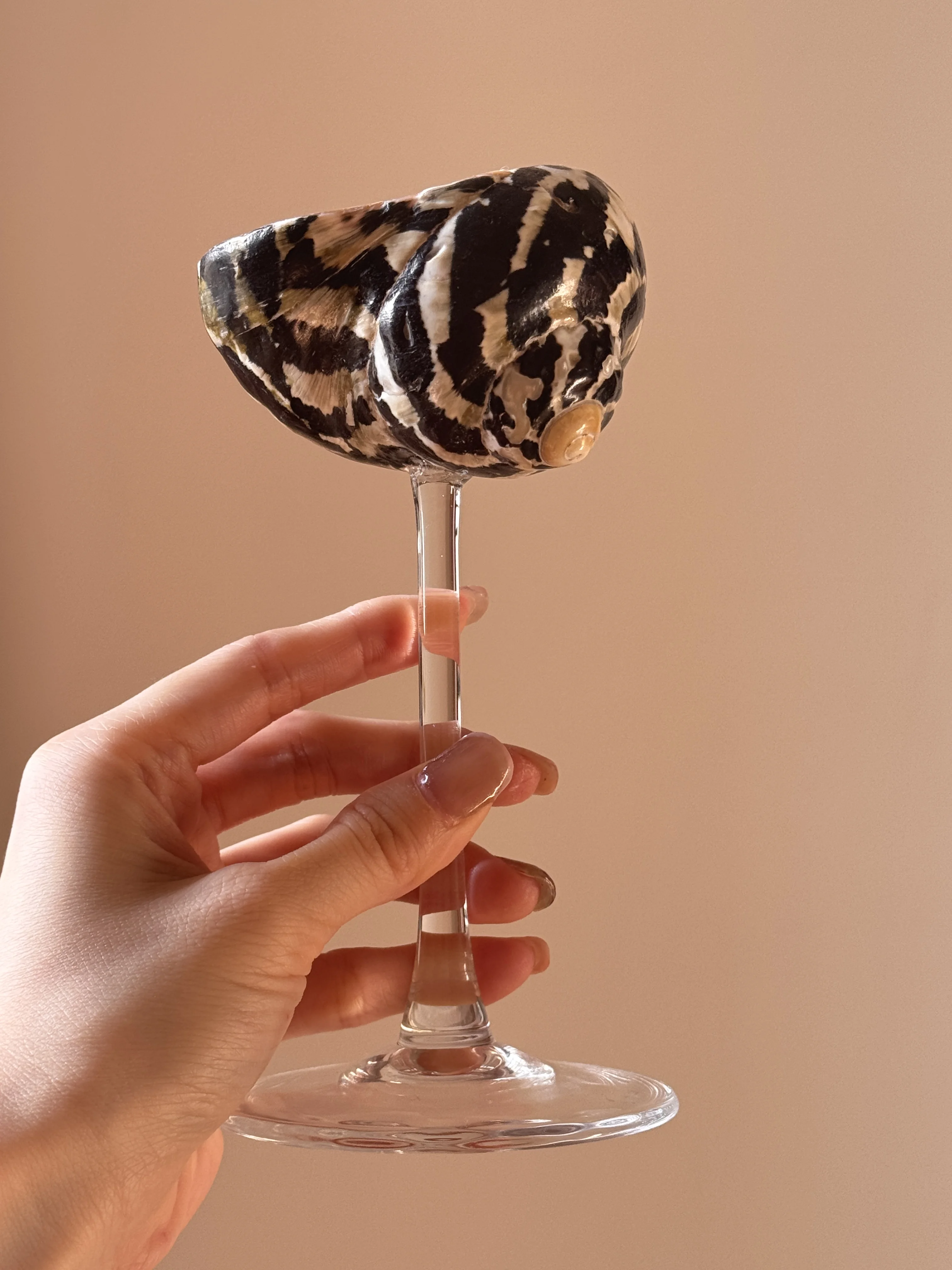 

Стеклянный кубок в форме ракушки AhunderJiaz