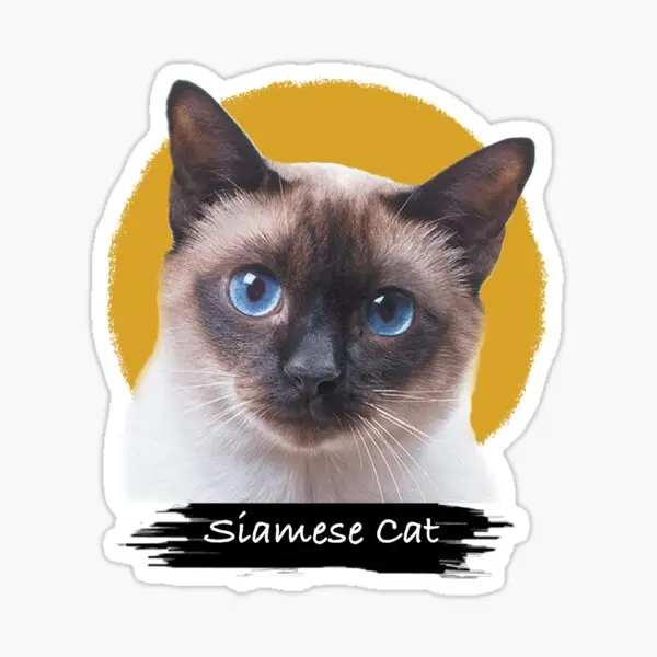 

Siamese Cat Car Auto Sticker Sticker Colorful V9