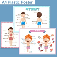 3 pcs english my body poster learning english words educational posters classroom decor kindergarten supplies preschool poster