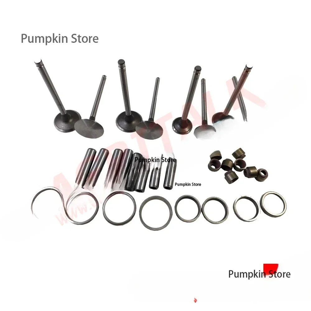 Комплект впускных и выпускных клапанов/уплотнителей направляющих для Weifang 495 R4105