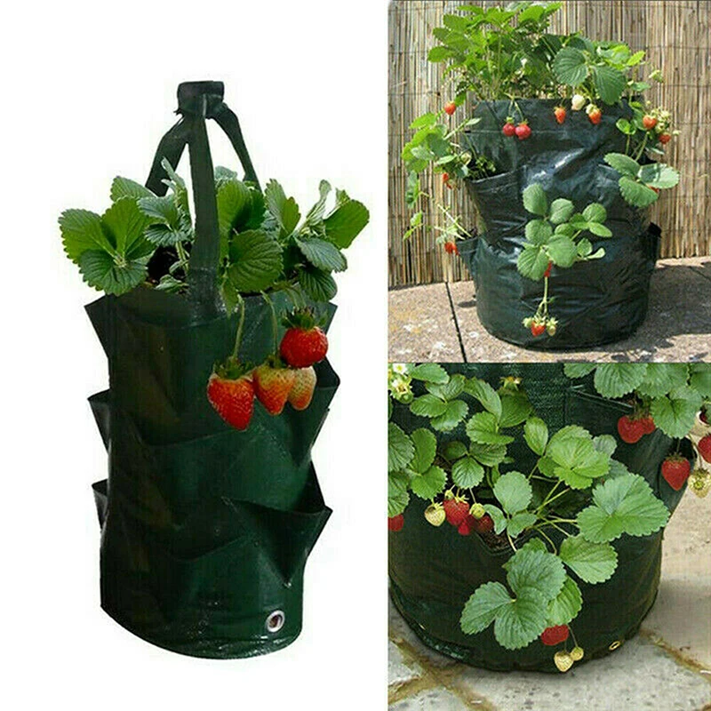 

3 Gallons 10 Pockets Plant Hanging Pouch Garden Strawberry Vegetable Grow Bag Fruit Planter Plastic Growing Pot Container Decor