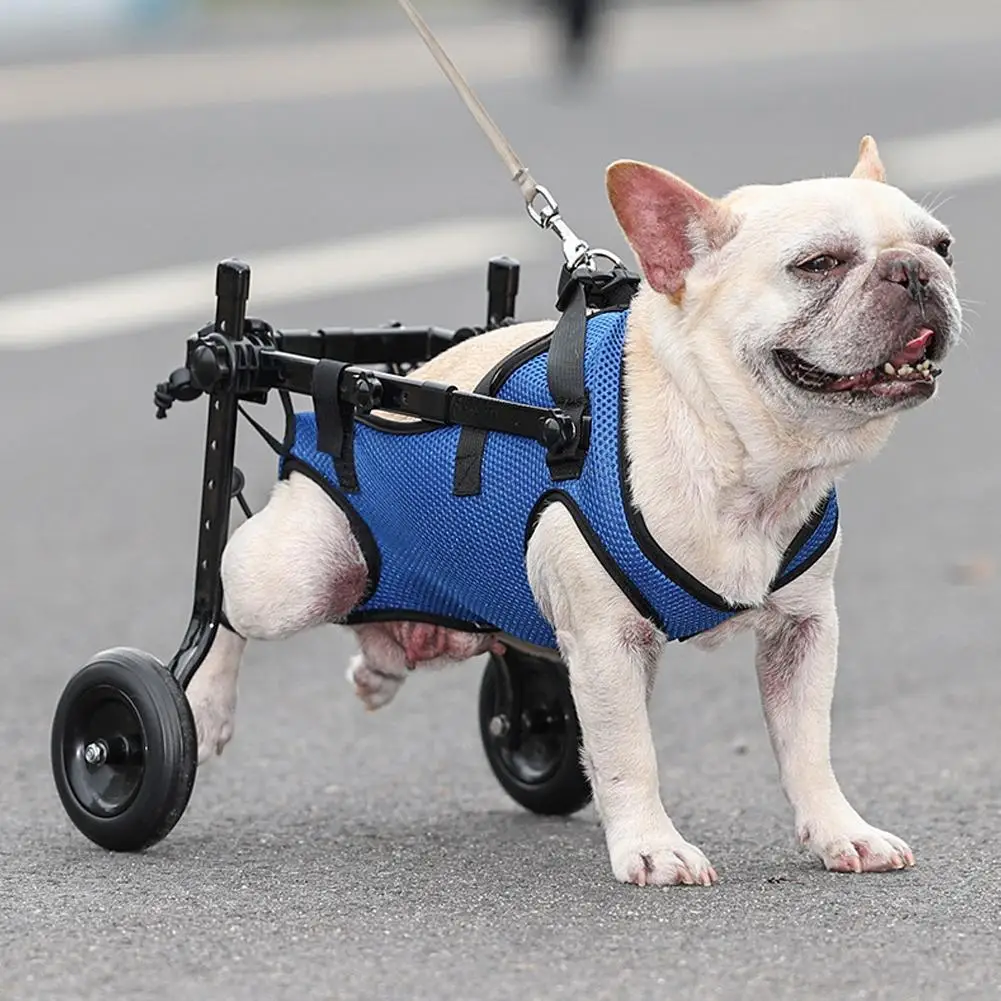 

Adjustable Dog Pet Wheelchair Hind Limb Hind Leg Disabled Dog Rehabilitation Trolley Mobility Legs Pet Light Walk Tools H0b5