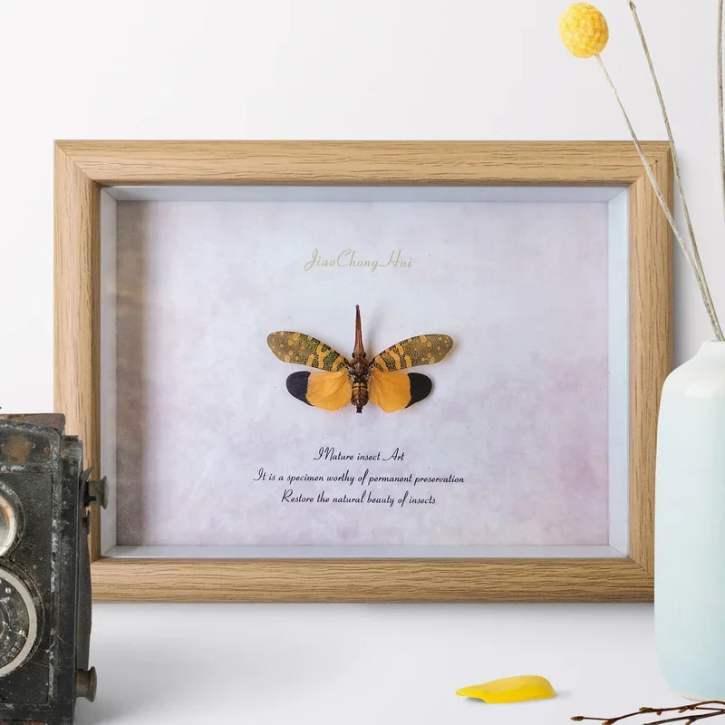 Цветная Цикада знает рамку ретро-картина украшение для дома настенное
