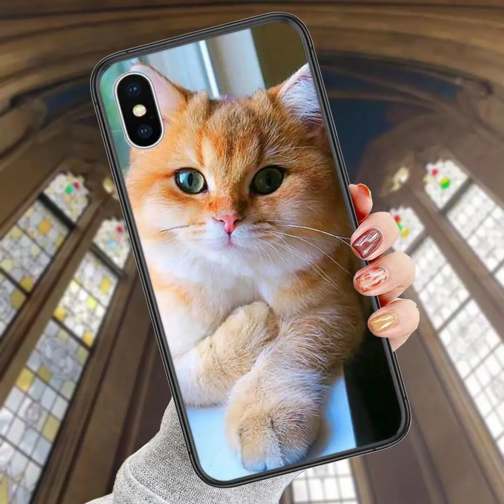 Мягкие телефонные чехлы для iPhone 13 12 11 Pro Max 8 6S 7 Plus XS XR Mini 5S SE 2022 P 6P милые домашние
