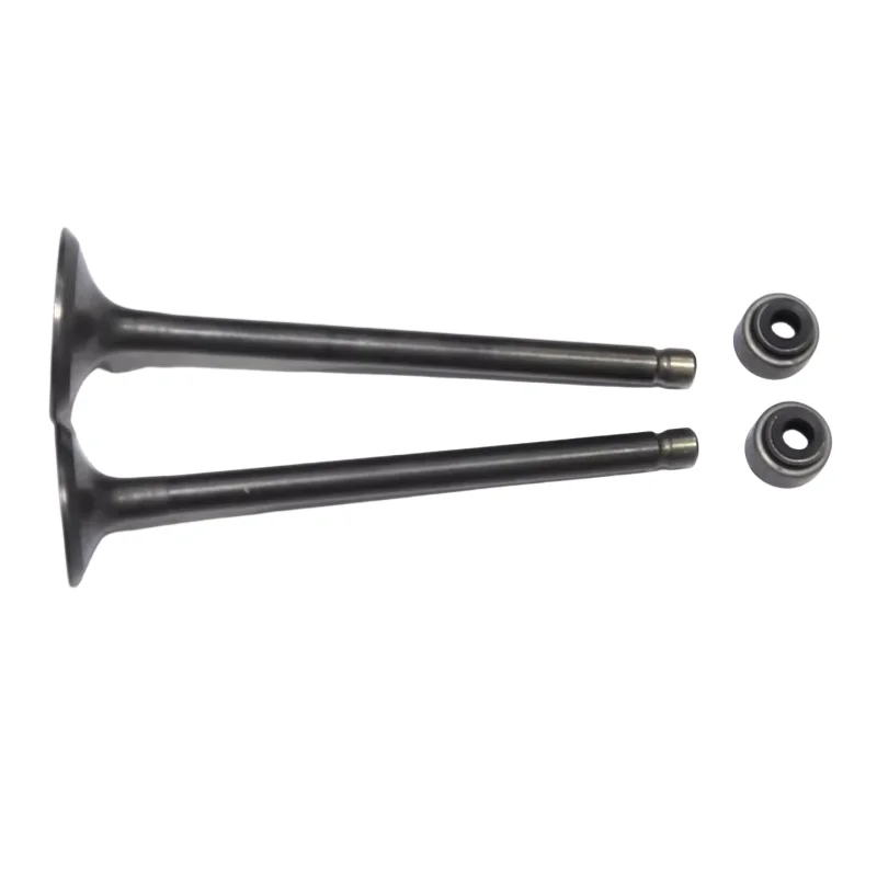 

Клапан двигателя мотоцикла, впускной клапан, выпускной клапан, комбинированное сальник, подходит для Yamaha Fzer250 Fz-X Ybr250 Ys250 Xtz250 Xg250 Fz250