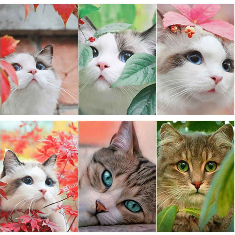 

50X70CM 5D DIY Diamond Painting Cute Cat Diamond Embroidery Animal Scenery Cross Stitch Full Round Drill Home Decor Manual Gift