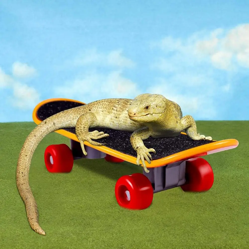 Lizard Helmet Dress Up