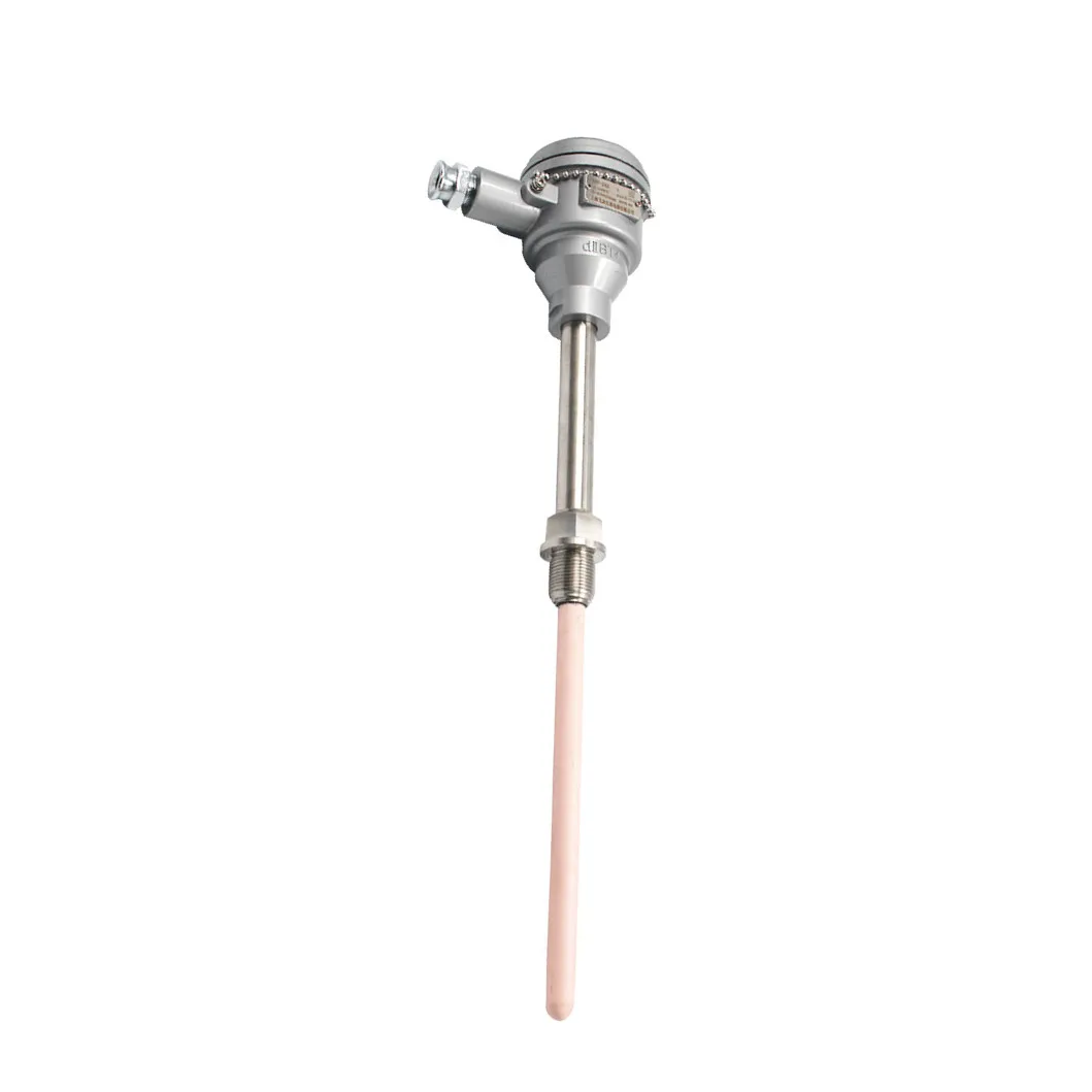 

Explosion-proof S Type Thermocouple for Industrial Temperature Measurement