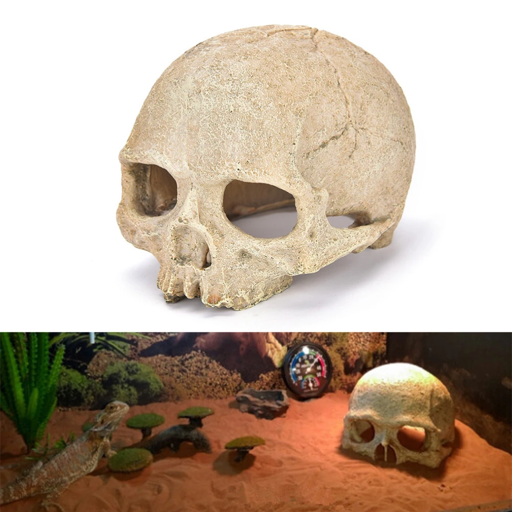 

Artificial Resin Skull Shelters for Aquarium Reptile Box Creative Scary Ornaments Vivid Dinosaur Skull Aquarium Accessories