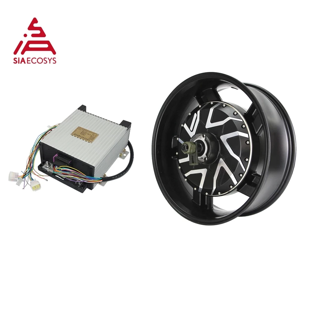 QS Motor 17*6.0inch 12000W 273 V4 MAX 157KPH General Designed 120kph In Wheel  BLDC Dual Shaft Hub Motor For E-Motorcycle