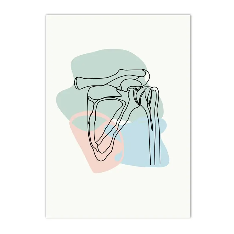 

Художественный постер анатомии человека ARDOR