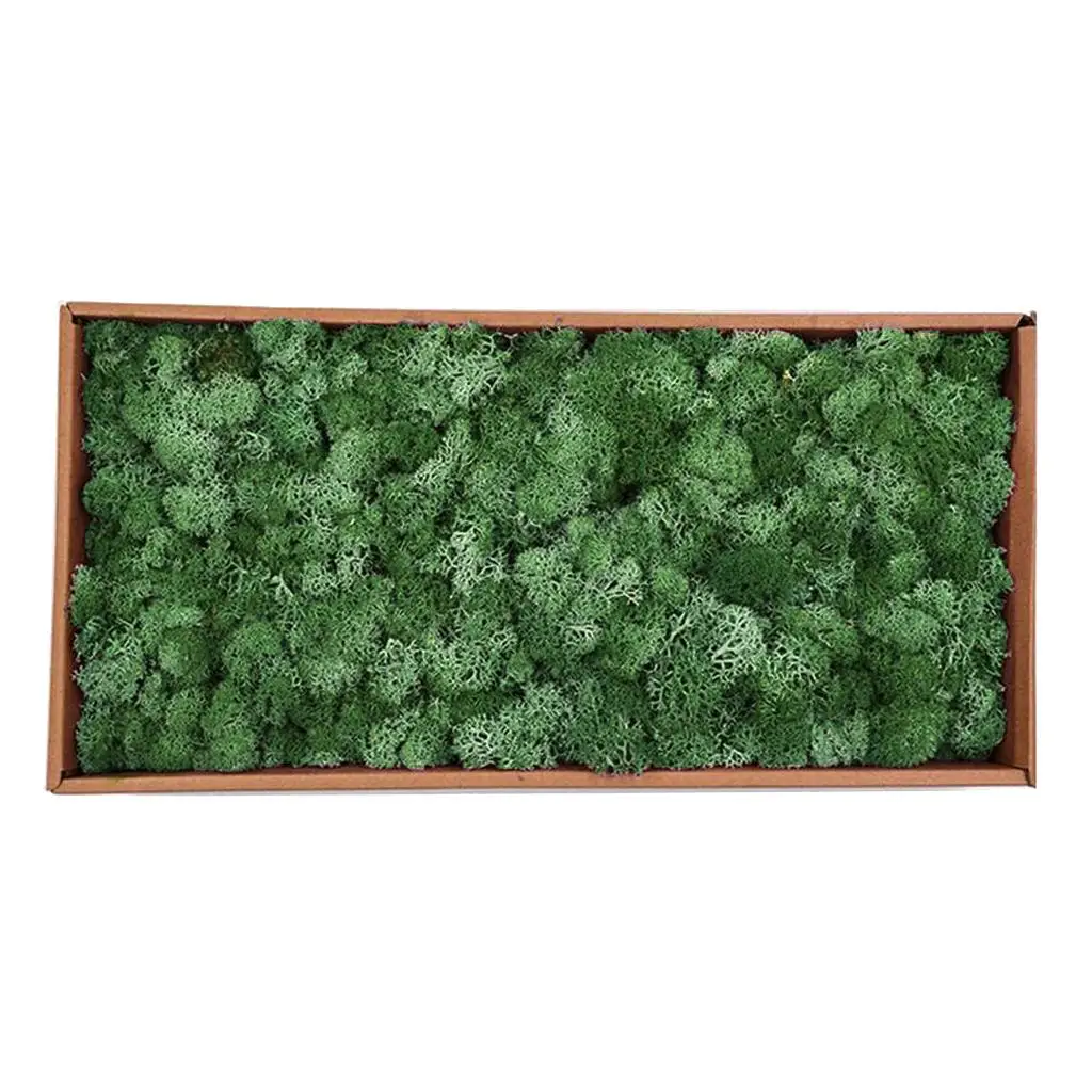 

Colorful Artificial Moss Plant DIY Dried Reindeer Moss Floral Crafts Flowers for Plant Pot Garden Home Wedding Decor