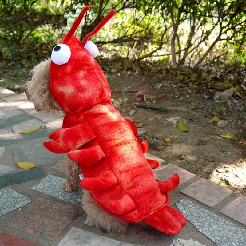

Pet Clothes Halloween Lobster Transformation Cats and Dogs Costumes Teddy Corgi Autumn and Winter New Dog Costumes Wholesale