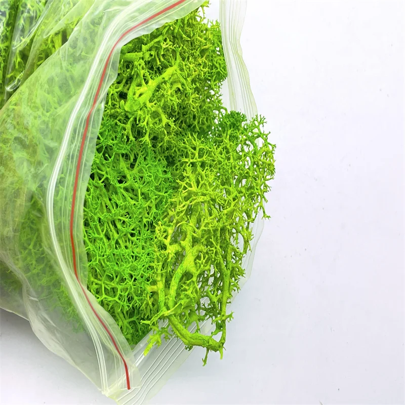 30 г кластеры Моха лишайника для кустов, модель строительного материала в масштабе листвы, миниатюрная модель дерева, диотома 30 г кластеры Моха лишайника для кустов, модель строительного материала в масштабе листвы, миниатюрная модель дерева, диотома