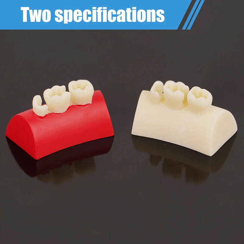 Модель ротового наполнения стоматологическая инкрустация модель для упражнений