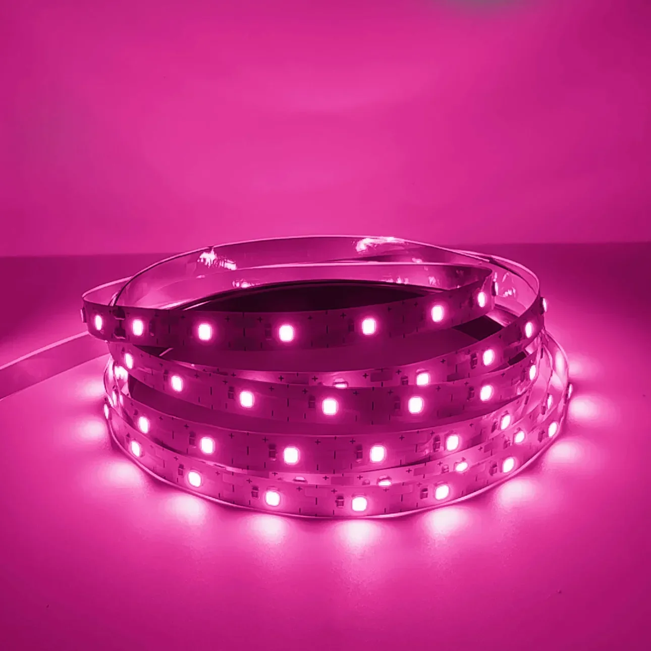 

Светодиодная лента HHLZYH 60 SMD2835 12В теплый белый 0.5 метра