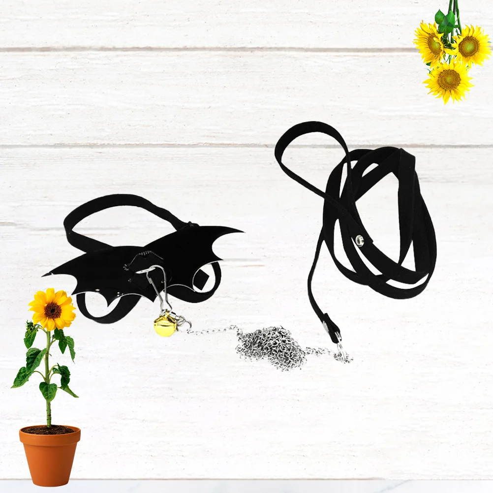 

Tortoise Supplies Leash Wing Pet Supplies Turtle Harness Harness Rope Tortoise Leopard Gecko Turtle Walking Leash Hamster Leash