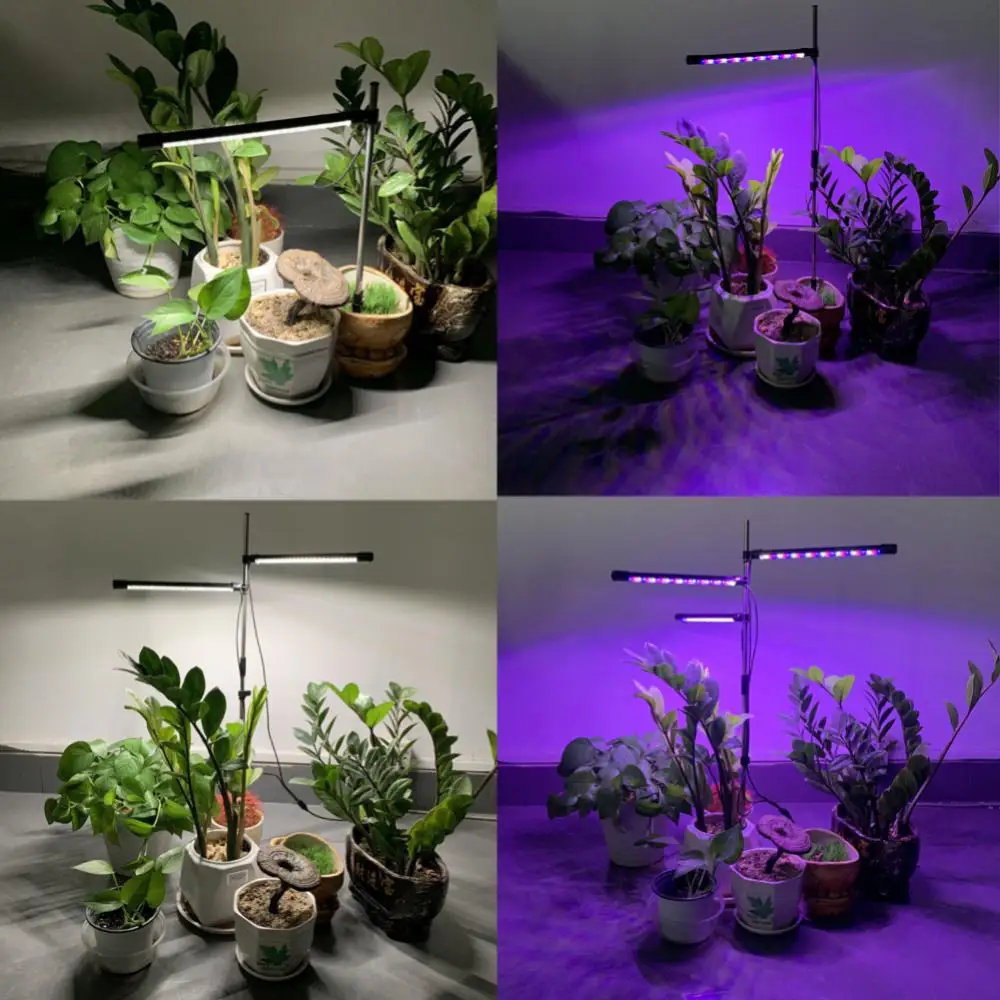 For Indoor Plants Red Blue 4000k Full Spectrum Plant Growing Lamp With Timmer For Hydroponic Flower Seedling Herb