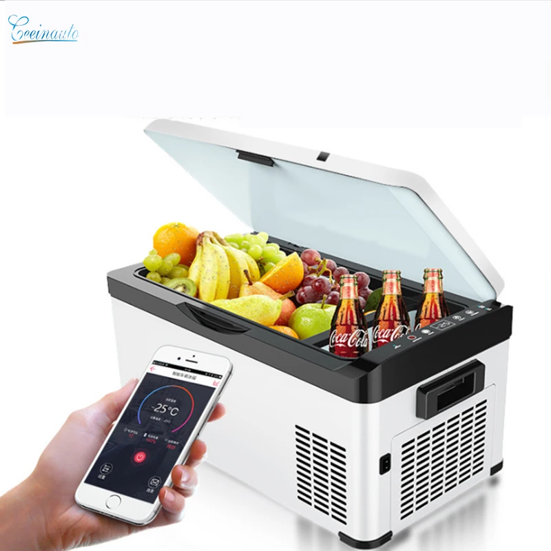 Quick fridge. Mini electronic fridge.