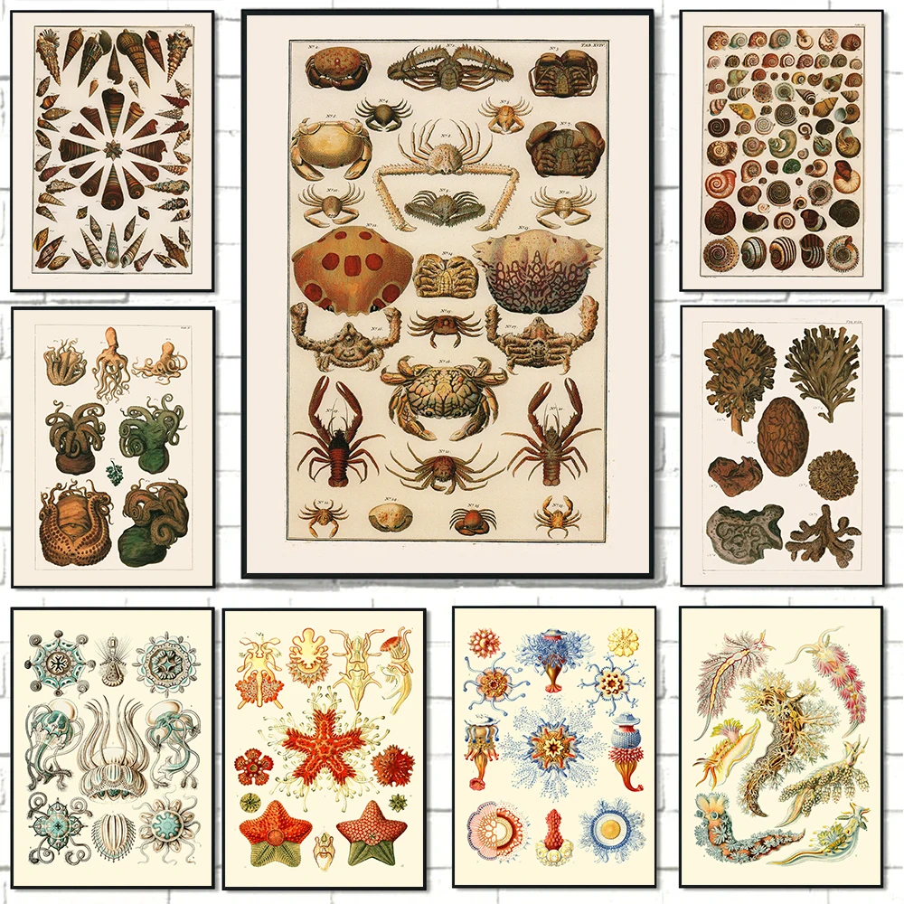 Картина на холсте с изображением морских животных размеры в ассортименте