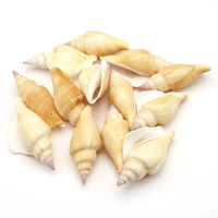 natural shell beads yellow conch with hole charms for making jewelry women necklace bracelet earrings decoration