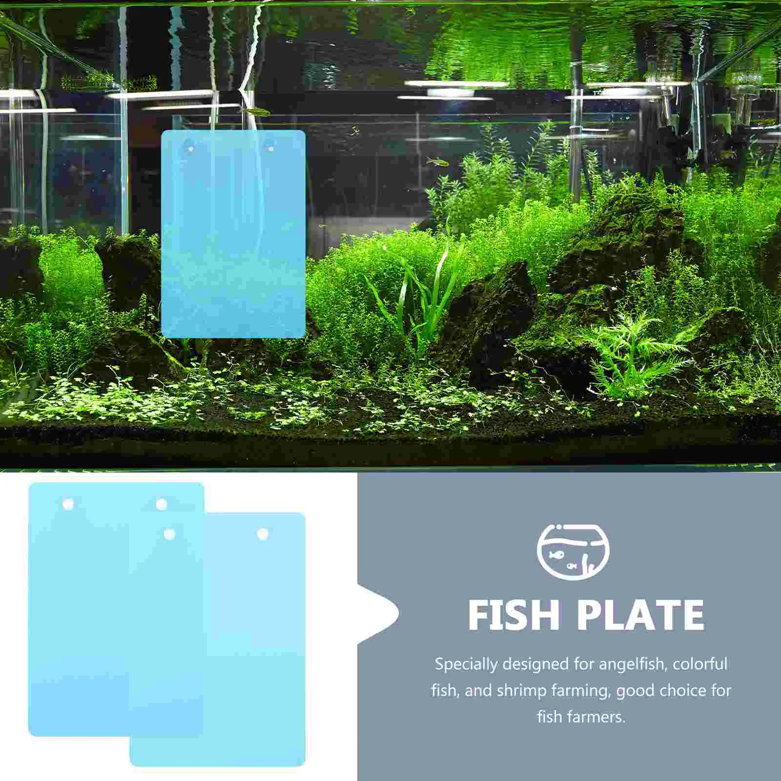 

2 Pcs Breeding Incubator Lightweight Fish Spawning Plate Practical Slate Breeder Box Tank Plastic Bowls Aquarium Reusable