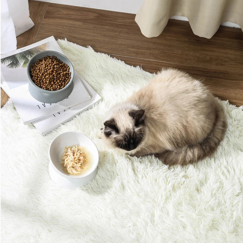 

Food Bowl For Cat High-foot Oblique-mouth Ceramic Feeder Dog Dishes Kittens Products Puppies Cute Supplies Pet Accessories