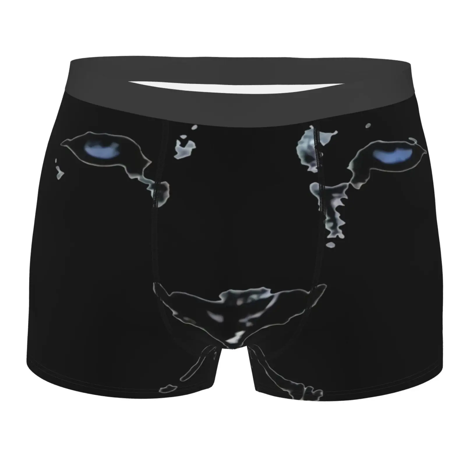 

Lion Album Cover 1980S Heavy Metal Men's Panties Sexy Men Sexy Underwear Men's Panties For Gay Pink Brand Boxershorts Men Cool