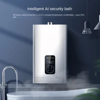 gas water heater home gas constant temperature 13 liters bath