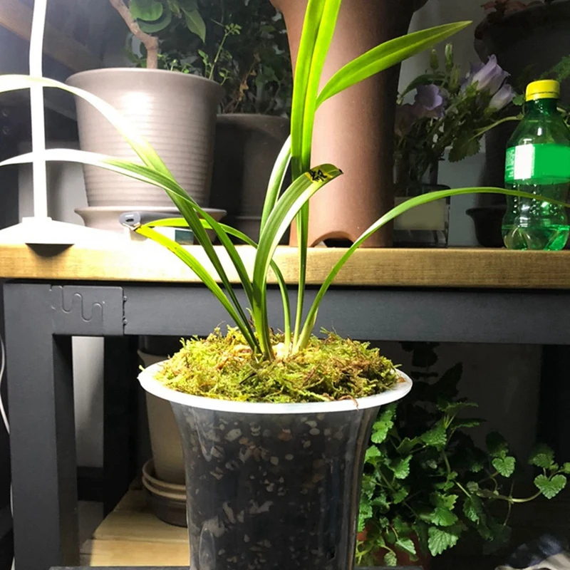 

Прозрачный цветочный горшок, 5 дюймов, 24 шт., пластиковая фотография с отверстиями, высокие горшки для растений, украшение для дома, цветочного магазина