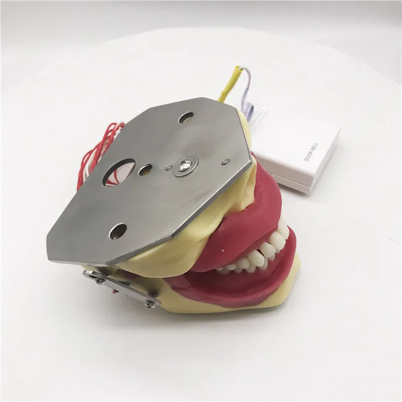 Модель экстракции стоматологической анестезии с зуммером модель для обучения