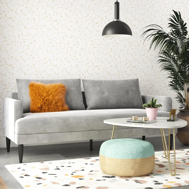 

Novogratz Bailey Pillowback Sofa, Mid-Century Modern Vintage Living Room Furniture, Light Gray Velvet living room furniture