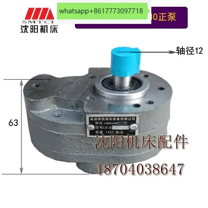 Shenyang Dalian CW6163CW6180 токарное опорное масло CB-B6 шестеренчатое шестеренный насос