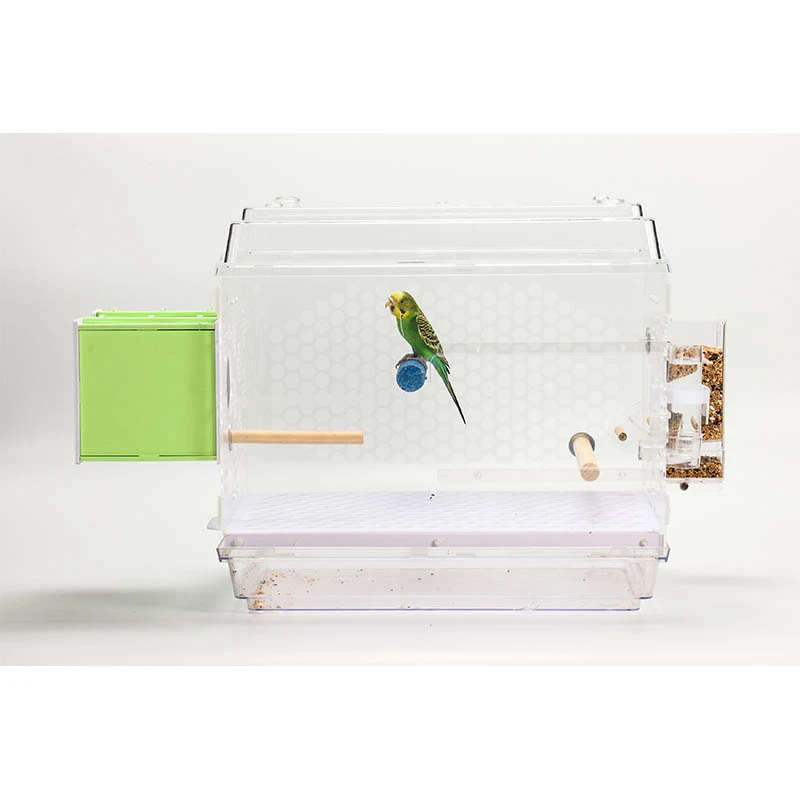 

Wholesale decorative Transparent acrylic parrot bird cage pet cages