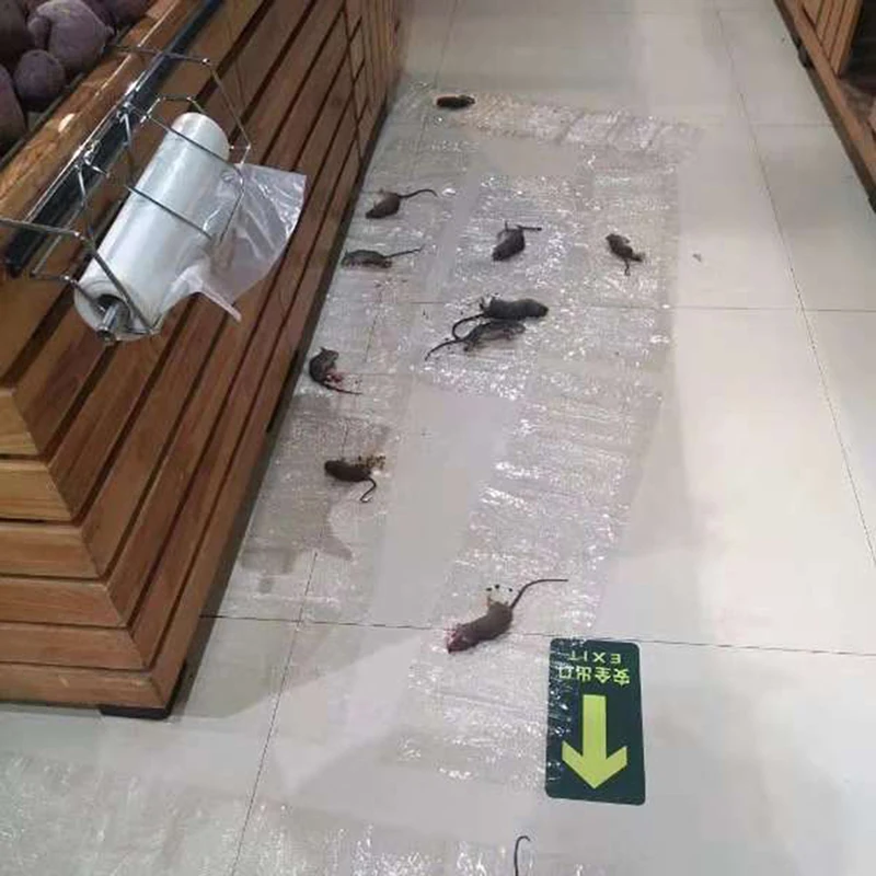 

Anti Rat 1.2m Sticky Glue Mat Rodents Mouse Blanket Trap Invisible Glue Trap,Ready-To-Use Other Garden Cleaning Tools