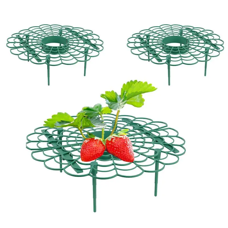 

Подставка для клубники, подставки для садовых растений, 3 упаковки, подставки для клубники, для сохранения ягод в чистоте и избежания гниени...
