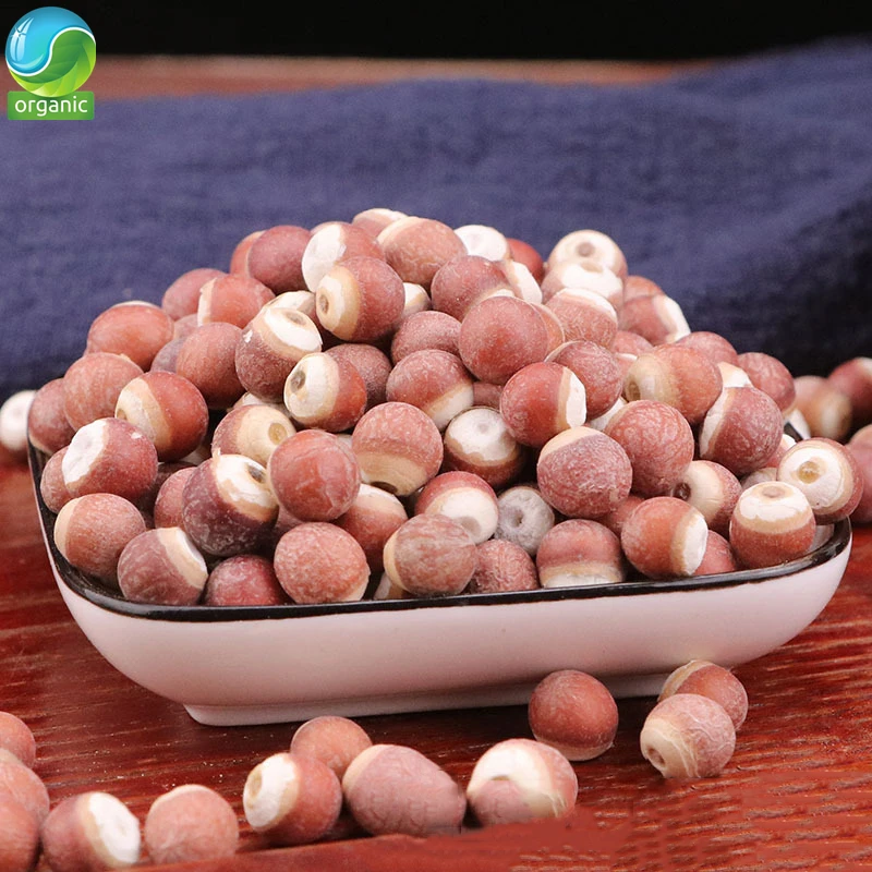 

Qian Shi, натуральный фрукт Горгоны, Гордон Euryale Semen, Ji Tou Mi,Semen euryals