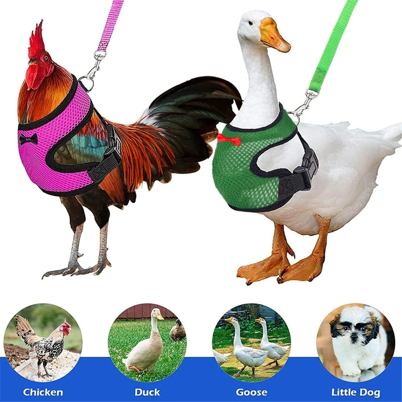 Chicken Harness with Leash Adjustable Comfortable Small Pet Harness Leash Set for Duck Goose Hen Training Walking Y5GB